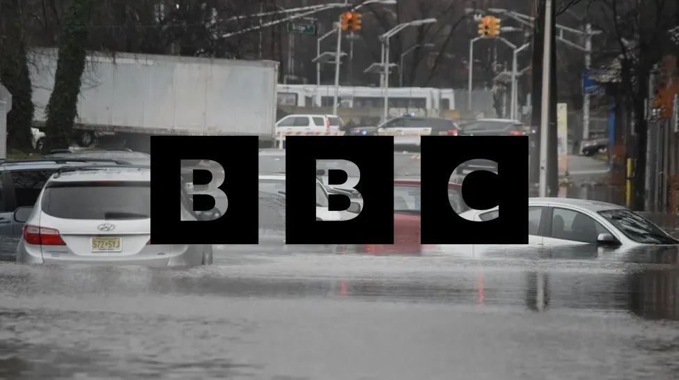 BBC article