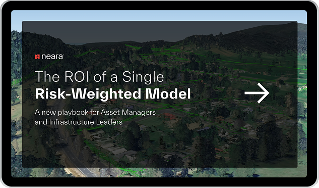 The ROI of a Single Risk-Weighted Model