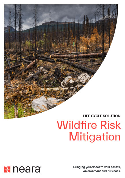 Wildfire Risk Mitigation PDF cover